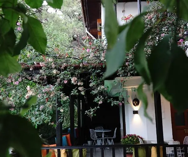 Mona Apart Akyaka Aparthotel