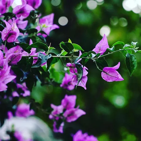 Mona Apart Akyaka アパートホテル *